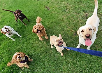 Rachel’s Pet Care Services