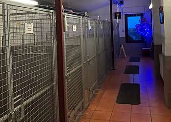 Ramscraigs Boarding Kennels