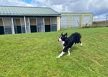 Ramscraigs Boarding Kennels