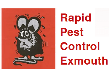 Exmouth pest control Rapid Pest Control Exmouth image 1