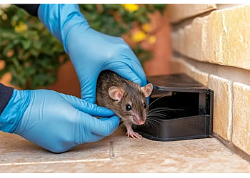 Rattic Pest Control