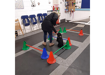 Raw Instinct Dog Training Centre