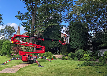 Red Fox Tree Care Red Fox Tree Care