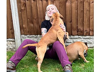 Red Robin Dog Training