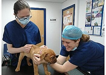 Regan Veterinary Group-The Avenue Veterinary Clinic