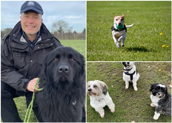 Rehabilitation and Training