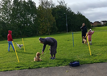 Renfrew Dog Training