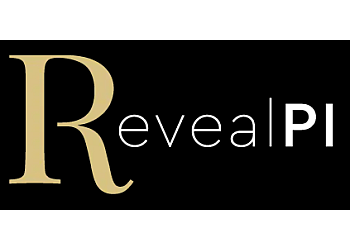 Reveal Private Investigations