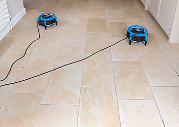 Revive Carpet & Floor Cleaning Services