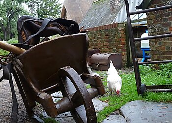 Richard Jefferies Museum