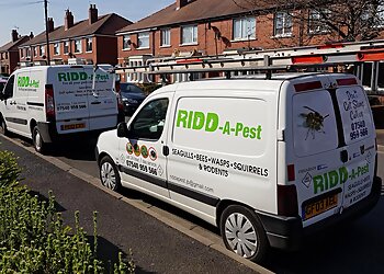 Blackpool pest control Ridd-A-Pest Pest Control Services image 1