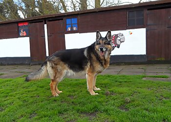 Riverside Boarding Kennels