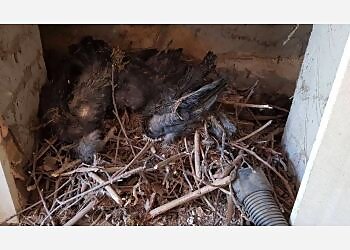 Rivington Pike Chimney Sweep