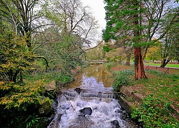 Roath Park