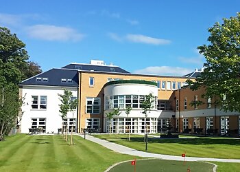 Robert Potter & Partners