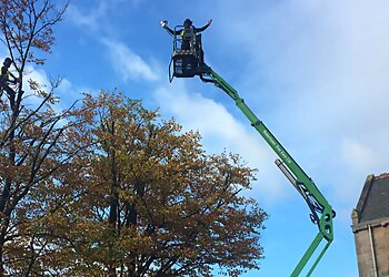 Robertsons Tree Care Ltd