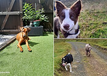Rochdale Dog Walking Services
