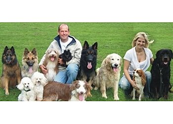 Rockwood Dog Training