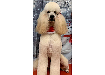 Rockwood Grooming Parlour