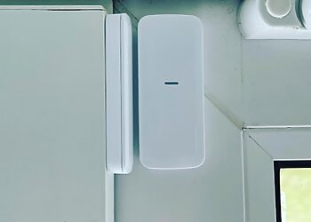 Roman Security Group Ltd