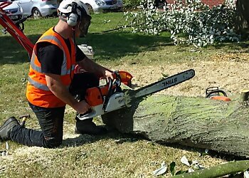 Ross Jones Tree Services Ltd.