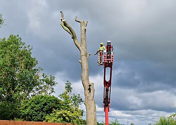 Ross Jones Tree Services Ltd.