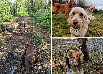 Round Our Way Dog Walking & Pet Care Services