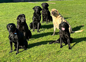 Rowan Sands Pet Hotel Rowan Sands Pet Hotel