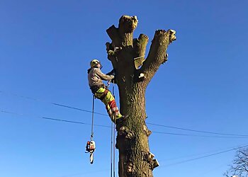 Rowan Tree and Garden Services