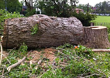 Rowan Tree and Garden Services