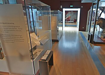 Royal Albert Memorial Museum & Art Gallery