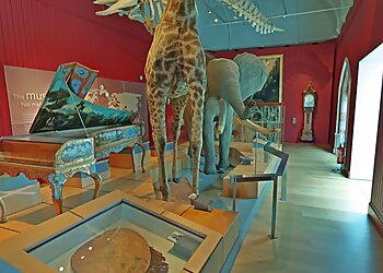 Royal Albert Memorial Museum & Art Gallery