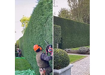 Royal Gardening Services