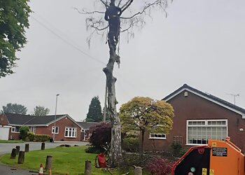 Royton Tree Services