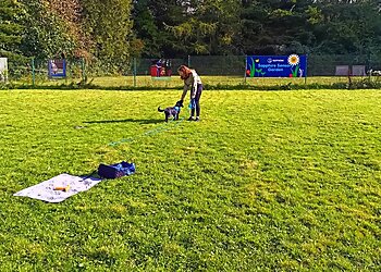 Royvon Dog Training & Hotels