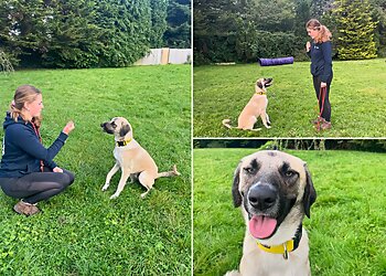 Royvon Dog Training & Hotels