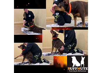 Ruffmutz Training & Behaviour