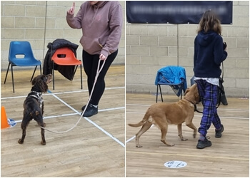 Ruffmutz Training & Behaviour