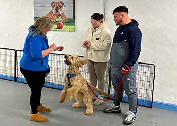 Rufus’ Training Academy