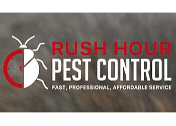 Kingston Upon Hull pest control Rush Hour Pest Control image 1