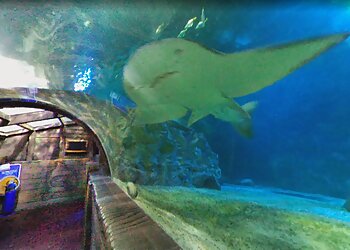 SEA LIFE Blackpool