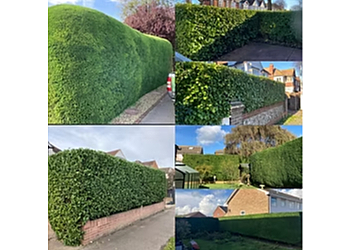 SJM Gardens Grass and Hedge cutting service