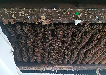 S K Ward Pest Control & Management Ltd