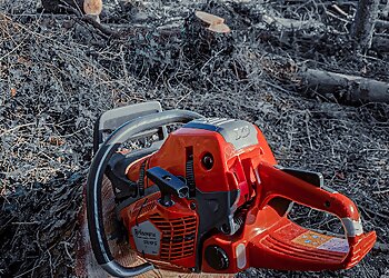 S.M Tree Services NE