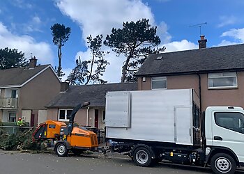 West Lothian tree services SNL Tree Surgeons image 1