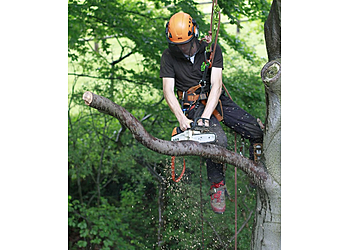 S P Landscapes & Tree Contractors Ltd