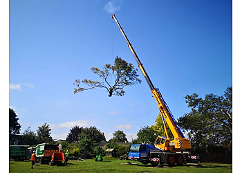 S P Landscapes & Tree Contractors Ltd