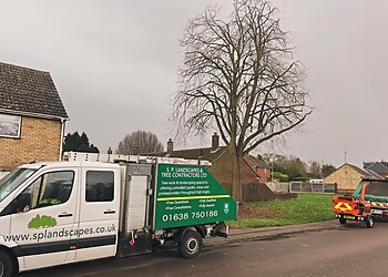 Bury tree services S P Landscapes & Tree Contractors Ltd image 1