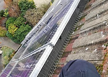 STP Pest Control, Ltd.