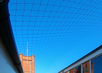 STP Pest Control, Ltd.